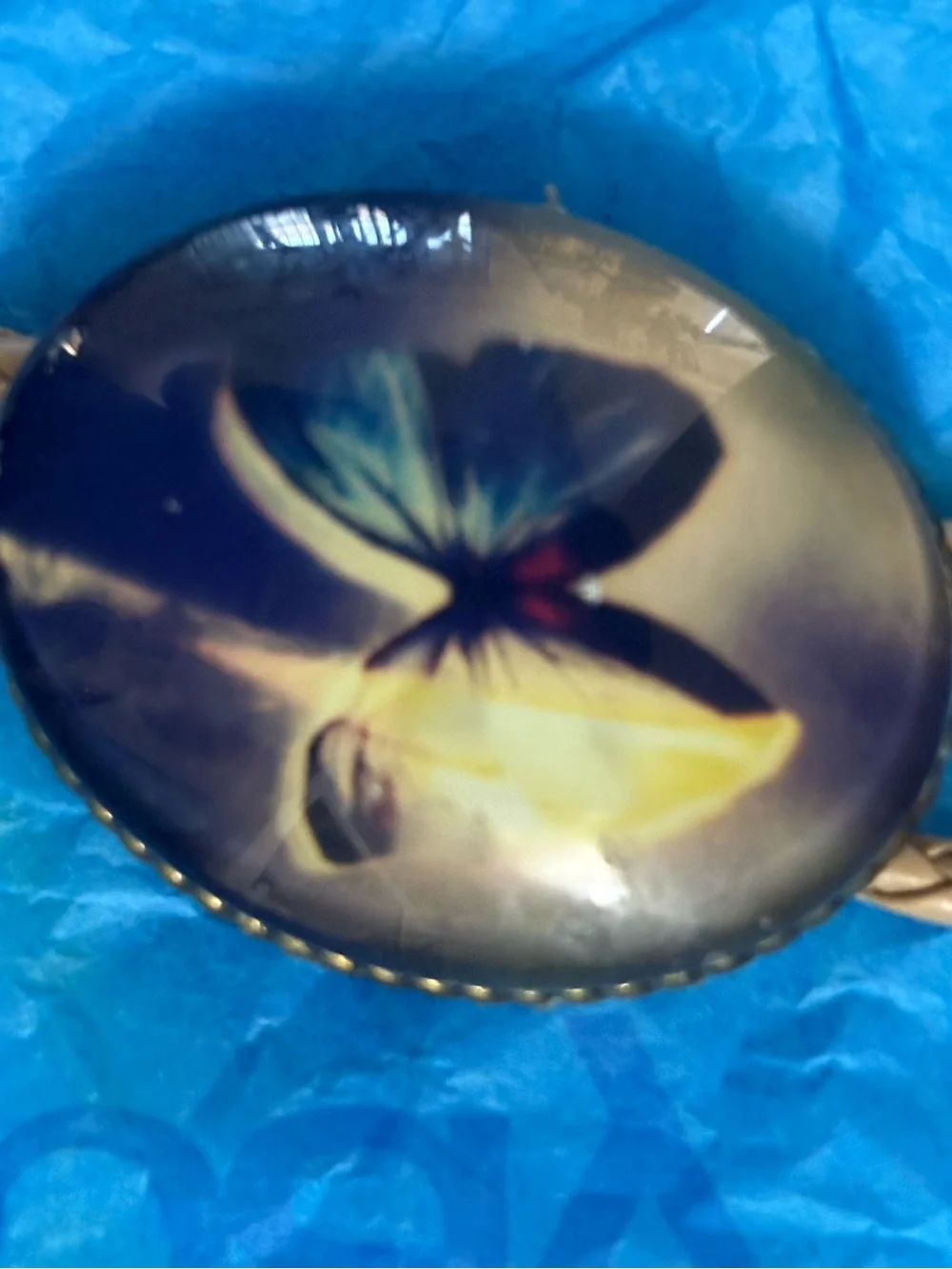 Vintage Butterfly Cameo Brooch - Blue, Yellow